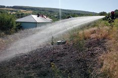 2_20250703.jpg