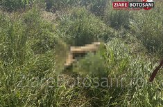 accident_dh_04_20250710.JPG
