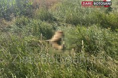 accident_dh_17_20250710.JPG