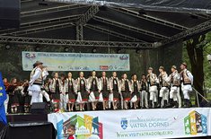 mugurelul-margineanca-la-vatra-dornei_05_20250720.jpg
