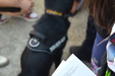 zile-de-vara_politisti_001_20250818.jpeg
