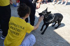 zile-de-vara_politisti_003_20250818.jpeg
