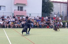 tabara-02_20250828.jpg