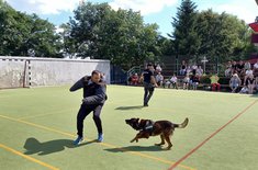 tabara-15_20250828.jpg