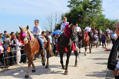 ibanesti_dealul-magurii_017_20250915.jpg