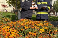 actiune-de-prevenire-isu_010_20251011.jpg
