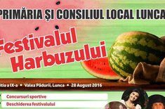 festivalul-harhuzului_20160825.jpg