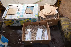 contrabanda-tigari_20161110.jpg