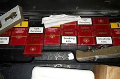 tigari-de-contrabanda-010_20170125.jpg