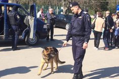 ziua-jandarmeriei-romane-sarbatorita-la-botosani-3_20170402.jpg