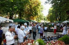 targului-mesterilor-populari-botosani_20170419.jpg