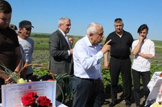 ministrul-agriculturii-botosani-2_20170611.jpg