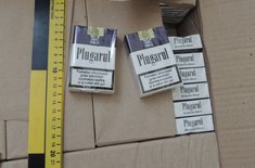 tigari-confiscate-3_20170615.JPG