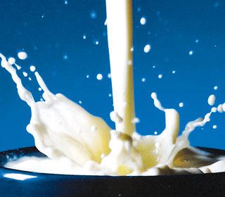 Cum a ajuns laptele produs de lux în România