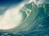 Alerta de tsunami in Japonia …