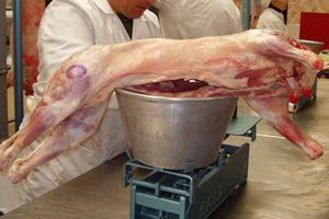 Carnea de miel s-a scumpit. …