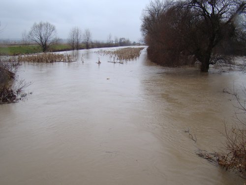 Case inundate - 39 persoane evacuate preventiv din calea apelor revărsate ale râului Miletin