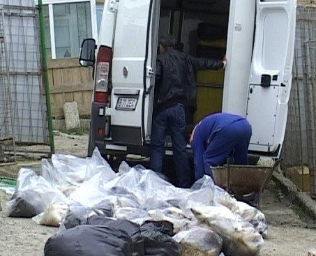 Câinii omorâţi la Botoşani sufereau de jigodie, potrivit DSVSA