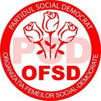 OFSD Botoșani | Concurs de desene cu tema „Oraşul meu”