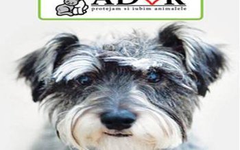 Asociaţia ADOR Botoșani : Nu …