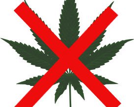 Guvernul a interzis comercializarea etnobotanicelor