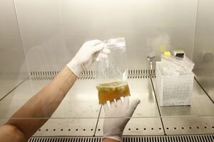 Atenţie la aglomeraţii! OMS a …