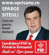 Site-ul www.oprisanu.ro a rezistat la 98.000 de tentative de atac, în cadrul concursului organizat de candidatul PSD pentru Primărie