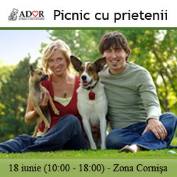 Ador vă invită la picnic!