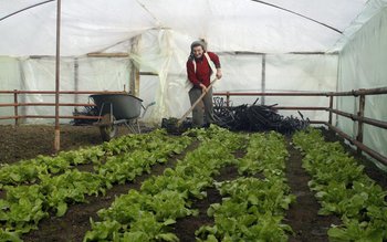 Fermierii, forţaţi să încheie contracte …