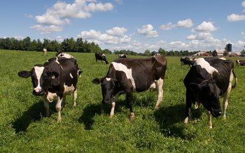 Avalanșă de cereri depuse pentru …