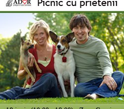 Astăzi în zona Cornișa | …