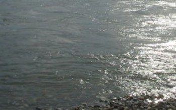 Un copil de 6 ani …