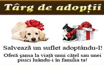 Asociația ADOR | Târg de …