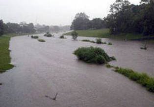 NEWS ALERT : „COD GALBEN” …