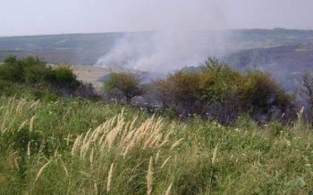 Stop incendiilor de vegetaţie uscată!!!