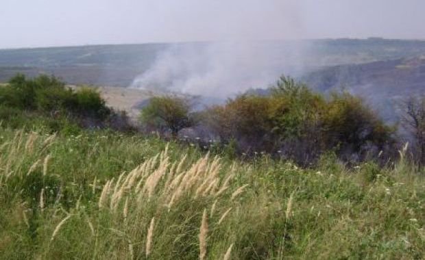 Stop incendiilor de vegetaţie uscată!!!