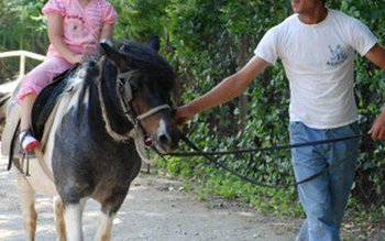 Vârfu Câmpului : Lecţii de …