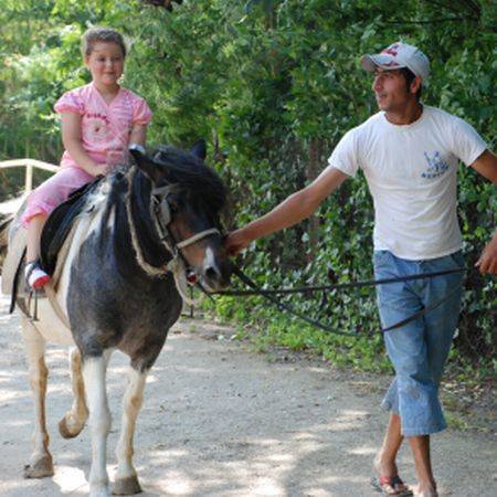 Vârfu Câmpului : Lecţii de călărie ca să scăpaţi de stres