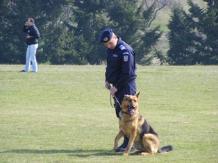 Exerciţiu demonstrativ efectuat de câinii Inspectoratului de Jandarmi Judeţean Botoşani