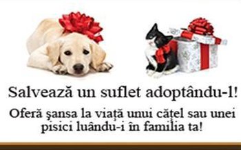 Adoptă un căţelus sau o …