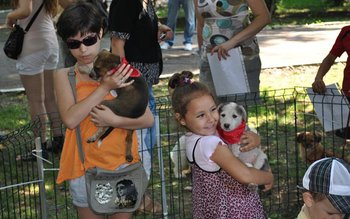 Ador le multumeste tutror celor …