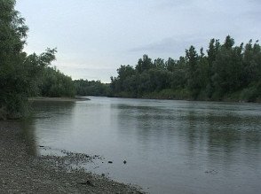 Doi pescari prinşi de poliţiştii …