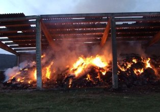 4 tone de furaje, mistuite …