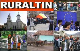 Cursuri gratuite pentru tinerii din …