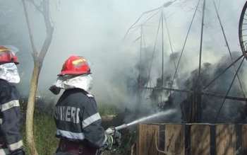 Adăpost de animale incendiat de …