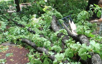 Victime și pagube materiale produse …