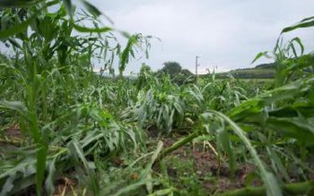 Potopul s-a abătut peste județul …