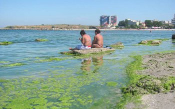 Autorităţile se declară depăşite de …