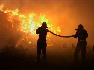 12 tone de furaje distruse în două incendii