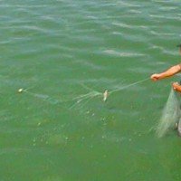 Tentativă de furt piscicol şi utilizare de unelte din plasă de tip monofilament 